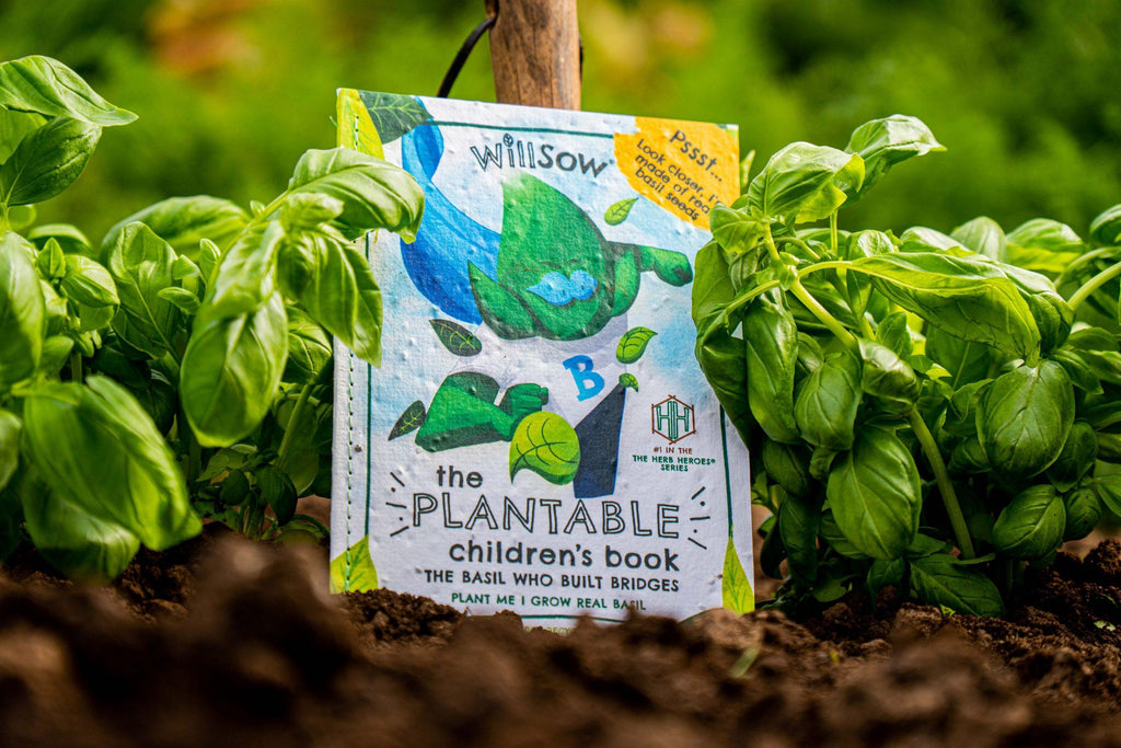 Willsow Children's Plantable Book - The Basil Who Built Bridges - Grow-Your-Own Basil Eco Storybook by Willsow - Learning Bugs UK