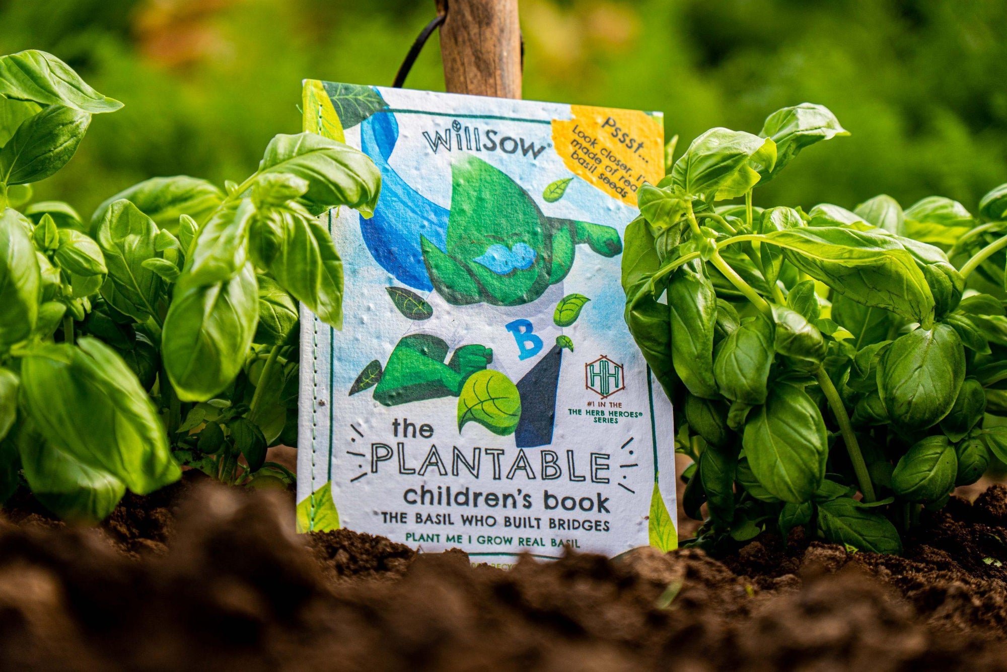 Willsow Children's Plantable Book - The Basil Who Built Bridges - Grow-Your-Own Basil Eco Storybook by Willsow - Learning Bugs UK