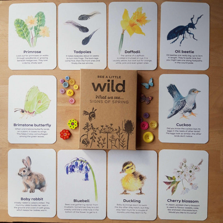 Signs of Spring Flashcards