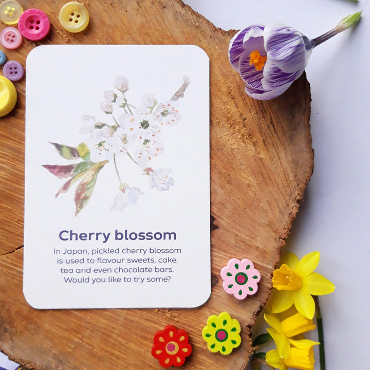 Signs of Spring Flashcards