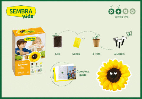 Sembra Sunflower Kit