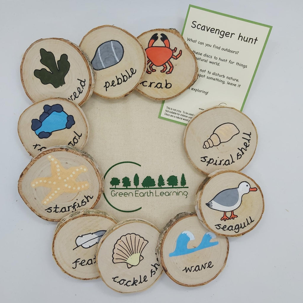 Buy Green Earth Learning Wooden Learning Disks - Beach Scavenger Hunt | for kids by Learning Bugs UK