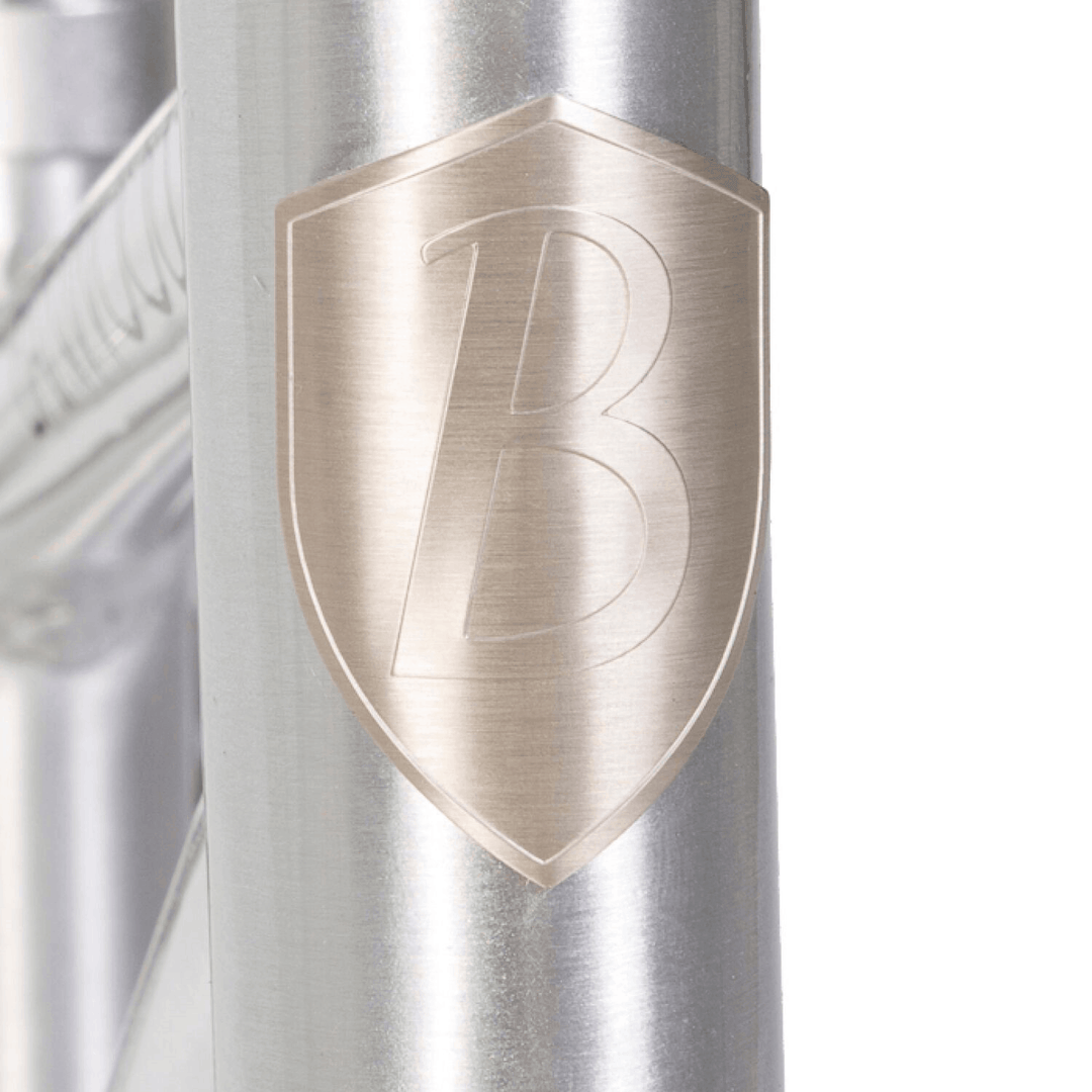 Banwood First Go! Chrome Balance Bike