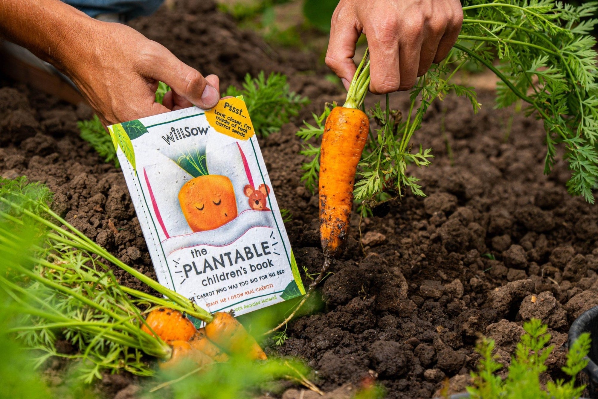 Willsow Children's Plantable Book – Eco Storybook with Real Carrot Seeds